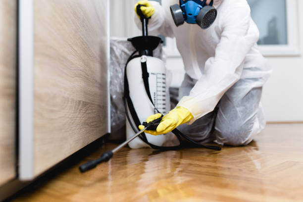 Best Exterminator Services  in Nanakuli, HI