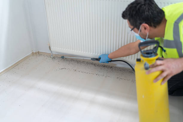 Best Pest Inspection Near Me  in Nanakuli, HI
